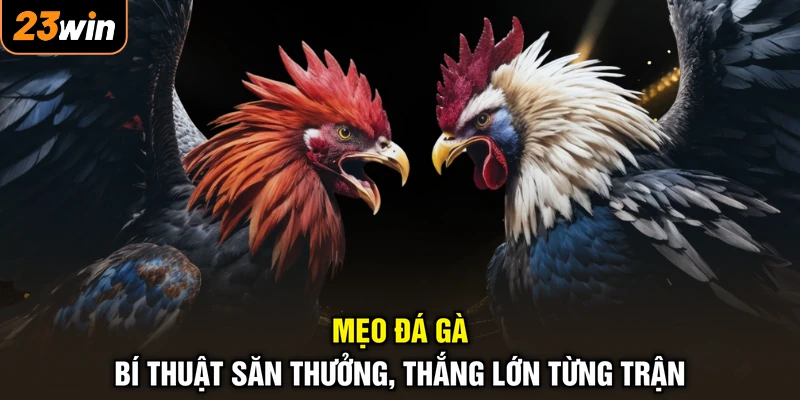 Mẹo Đá Gà - Bí Thuật Săn Thưởng, Thắng Lớn Từng Trận 1 Mẹo Đá Gà - Bí Thuật Săn Thưởng, Thắng Lớn Từng Trận