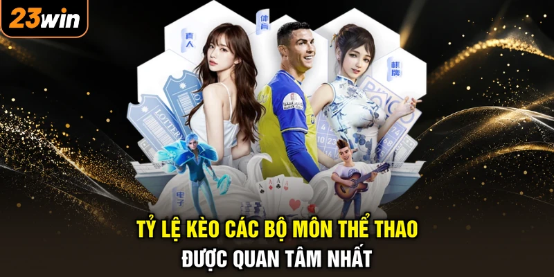 Tỷ lệ kèo các bộ môn thể thao được quan tâm nhất