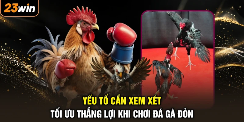 Yếu tố cần xem xét tối ưu thắng lợi khi chơi đá gà đòn